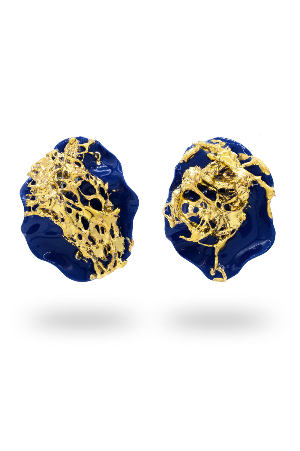 Sea Life Enigma - dianacojocaru.fr